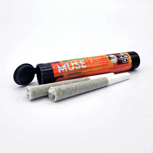 Team Cream x Ice Cream Cake - 2 pack Infused Preroll (1.5g)